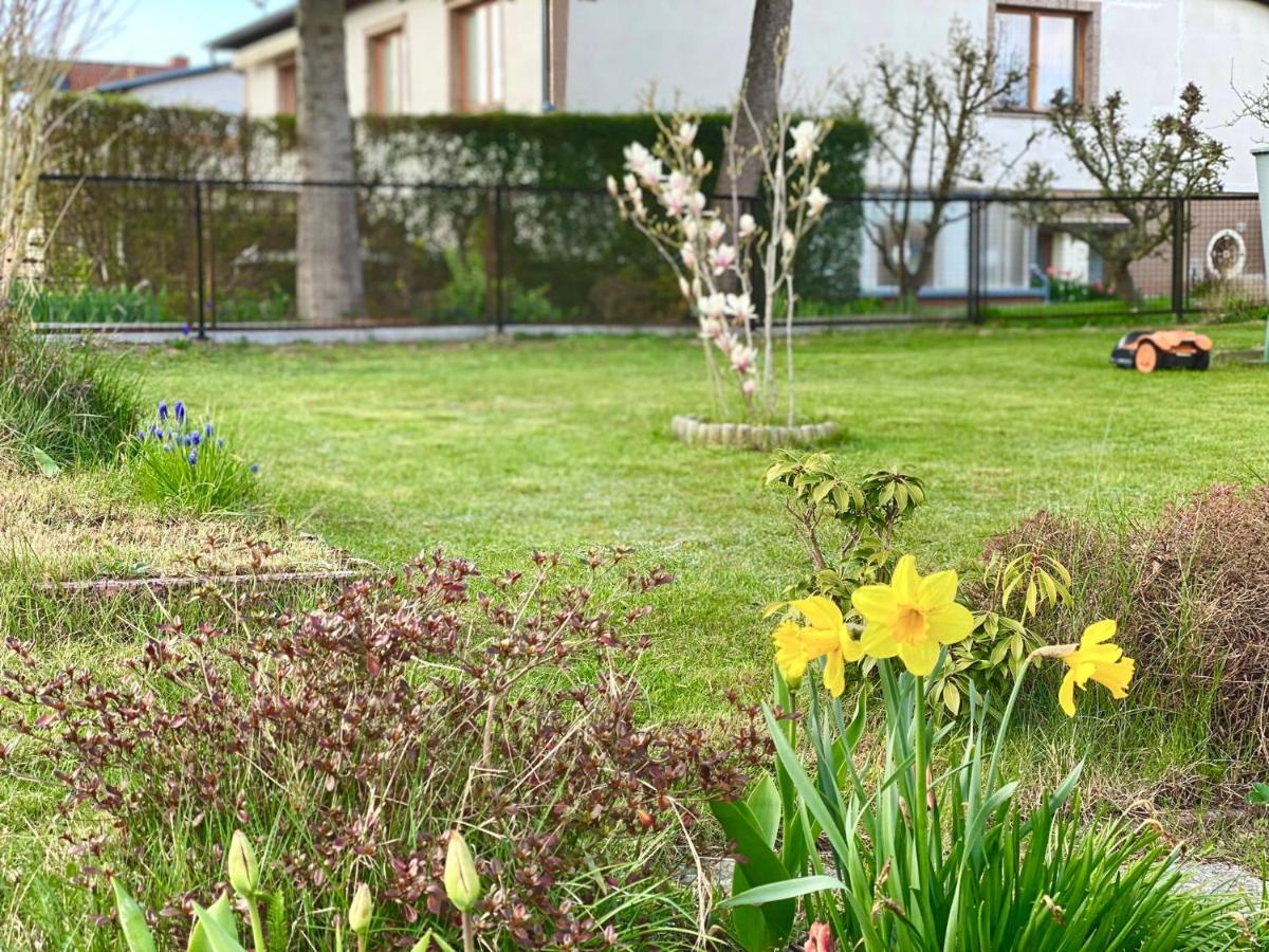 Fewo Sunshine Heringsdorf  Exterior foto